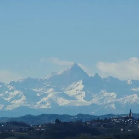 Il Grappolo Mongardino