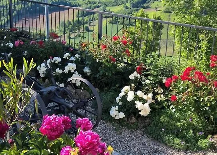 Couette-café Il Grappolo 3*