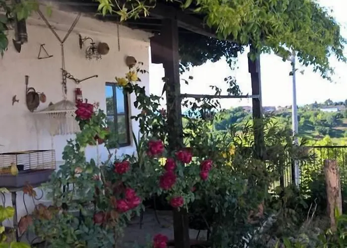 Couette-café Il Grappolo Mongardino