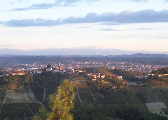 Il Grappolo Mongardino