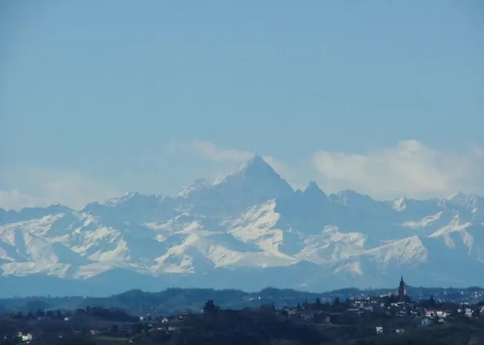 Il Grappolo Mongardino
